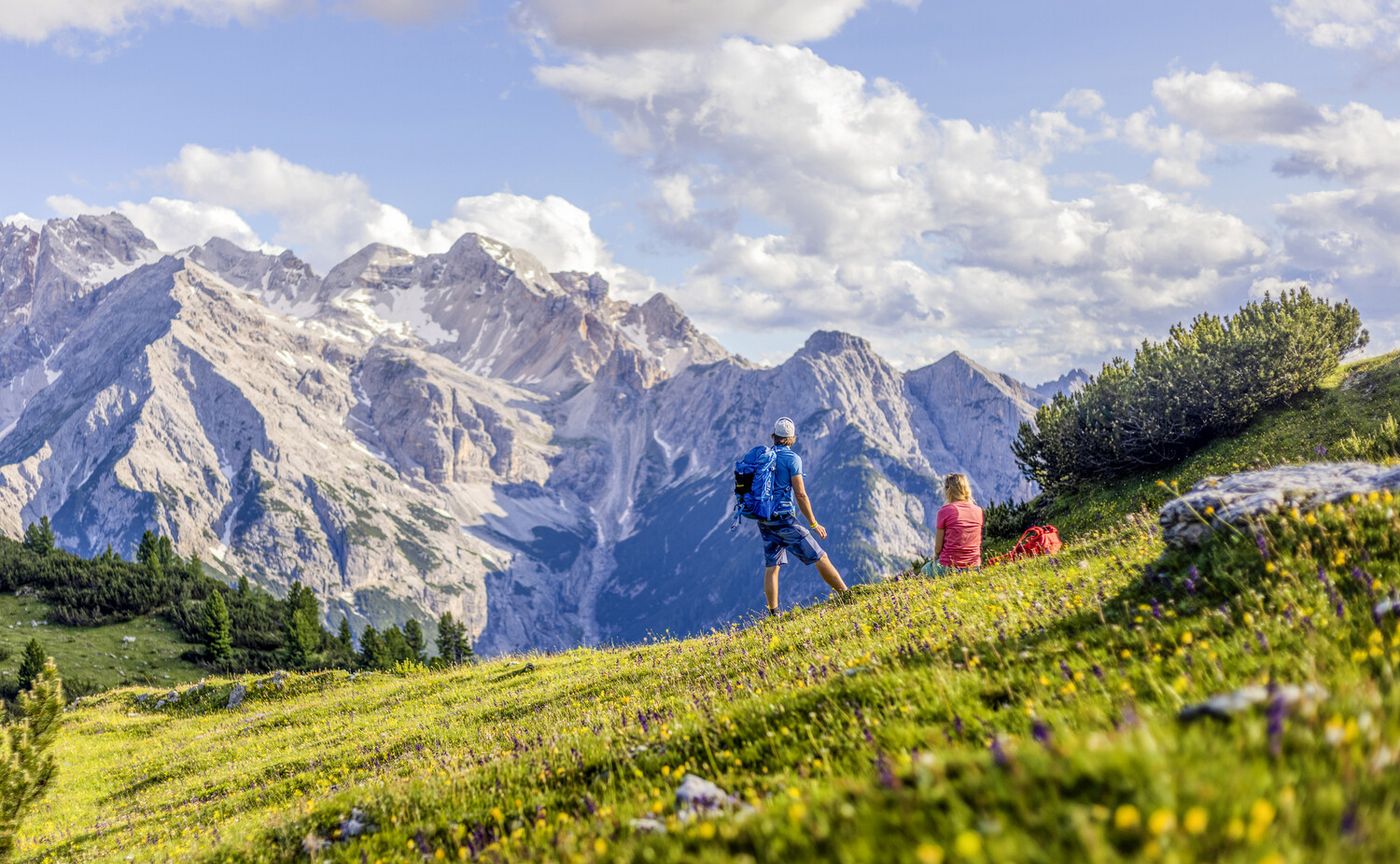 Hochalm Plätzwiese in Südtirol mit Blick auf die Dolomiten